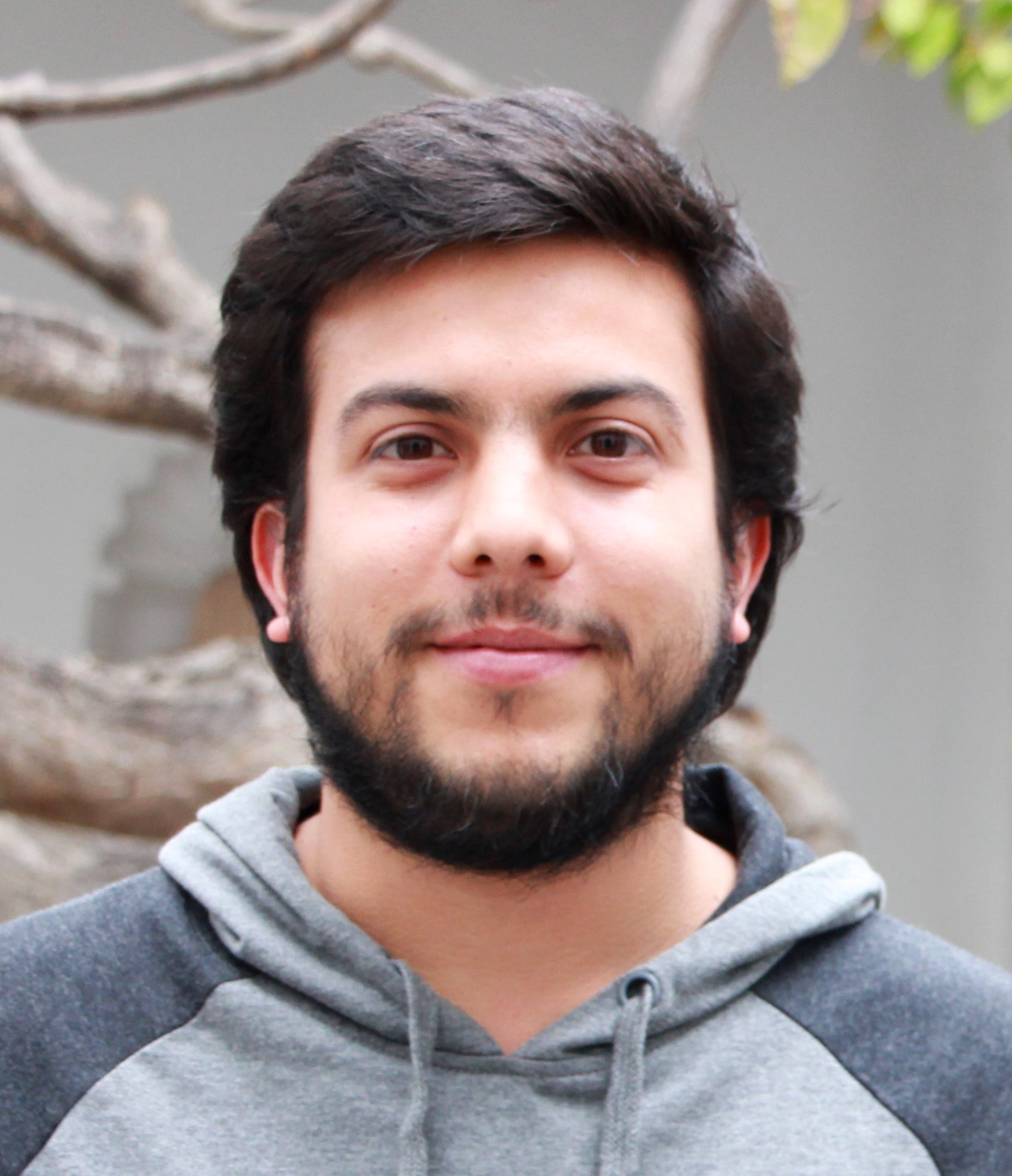 Alvaro Grompone