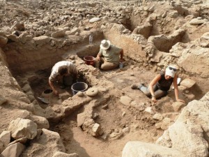 Mesa verde: “Estudios arqueobótanicos en Panquilma: resultados preliminares”