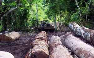Mesa verde sobre extracción de recursos naturales y dinámicas políticas en la Amazonía peruana