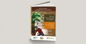 Ideas para el ordenamiento territorial de la Amazonía y el cultivo de palma aceitera