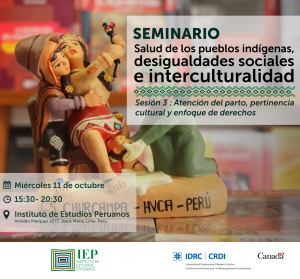 Seminario «Salud de Pueblos Indígenas, Desigualdades Sociales e Interculturalidad»-Sesión 3