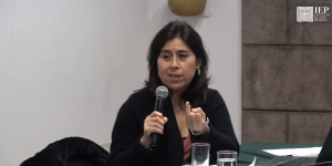[VIDEO]Los Hogares de Peruanos en Chile, usando la Encuesta de Caracterización Socioeconómica Nacional (CASEN) de Chile