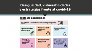 El IEP presenta informe sobre desigualdad y vulnerabilidades frente al covid-19