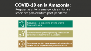 IEP organizó ciclo temático sobre la respuesta sanitaria de la Amazonía frente a la pandemia