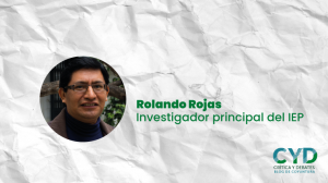[CRÍTICA Y DEBATES] «Crecimiento económico y precarización democrática», por Rolando Rojas