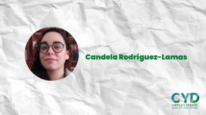 [CRÍTICA Y DEBATES] «¿Somos vulnerables a la desinformación?», por Candela Rodríguez-Lamas