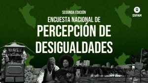 II Encuesta Nacional de Percepción de Desigualdades – ENADES 2024