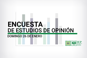 IEP Informe de Opinión – Enero 2025