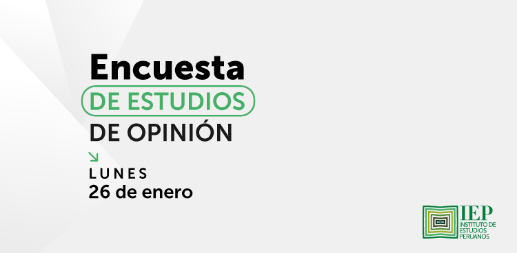 Informe de opinión - Enero 2026